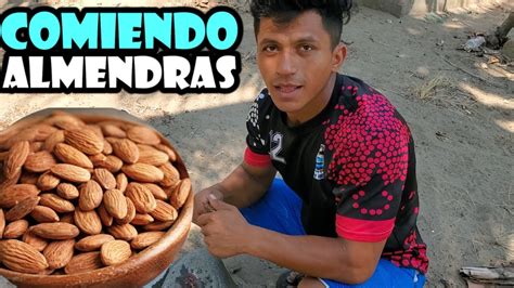 ¡comer Almendras Todos Los Dias Puede Mejorar Tu Salud Impresionantes Beneficos De La Almendra