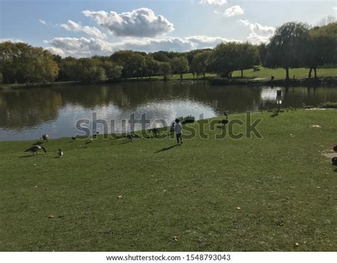 3 Swanley Lake Images, Stock Photos & Vectors | Shutterstock