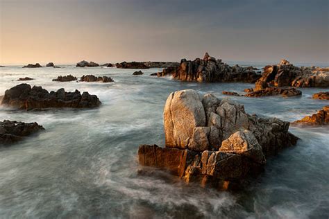 100+ Asilomar State Park Stock Photos, Pictures & Royalty-Free Images ...