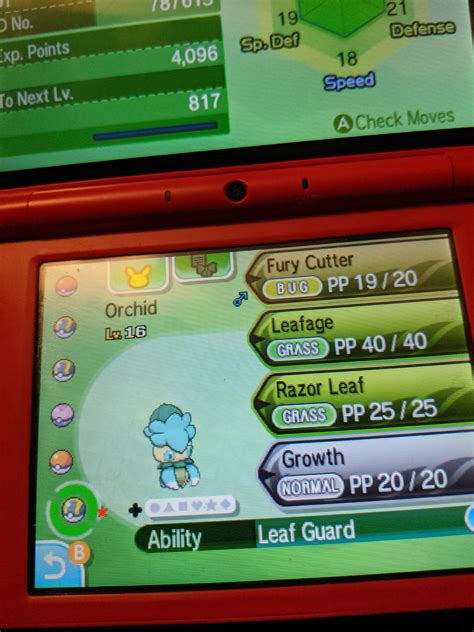 [gen7] finally got a shiny of my favorite alola Pokemon! : r/ShinyPokemon