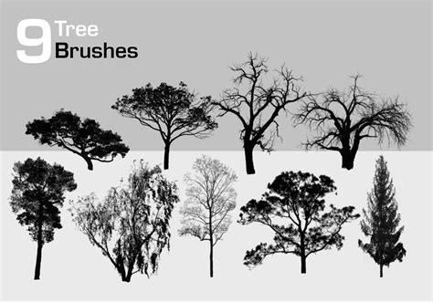 High Resolution Tree Brushes Free Photoshop Brushes At Brusheezy