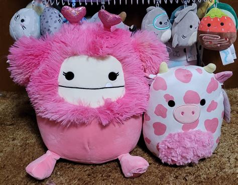 Found Tones Of Valentines Day Squishmallows Yesterday And Picked Up These Two For Myself 😍 R