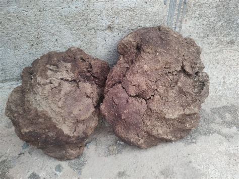 dung capacity unlimted  rs   hubli id