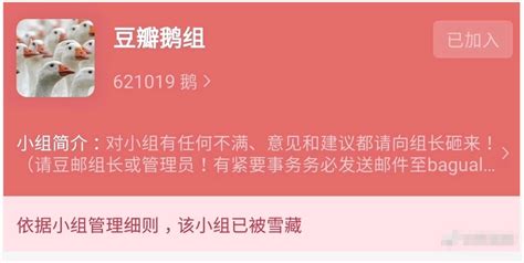 被称互联网第一吃瓜基地豆瓣第一大组被炸拥有68万组员资讯博望财经