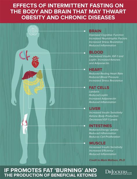 Cirs causes symptoms and solutions – Artofit