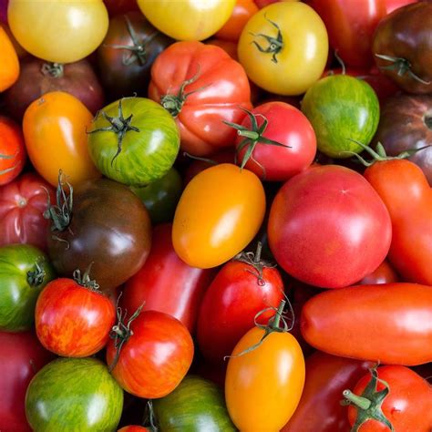 As Puedes Convertir Tus Tomates En Superantioxidantes Los Secretos