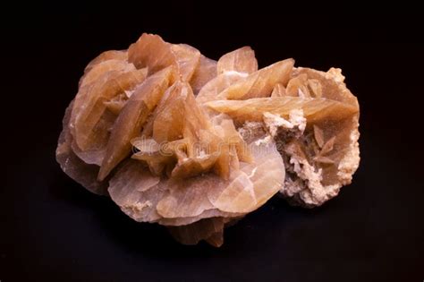 Desert Rose Macro Shooting Of Natural Mineral Rock Specimen Piece Of