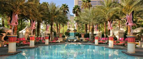 Flamingo Las Vegas Pools: Hours, Prices & Tips