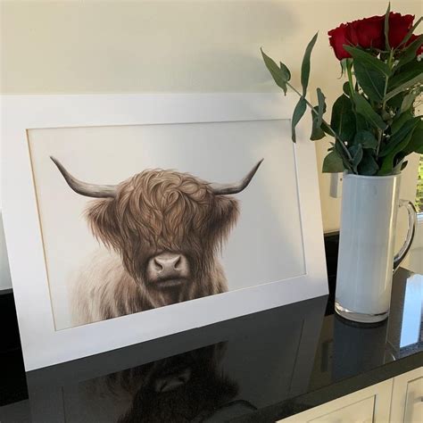 Highland Cow Drawing Limited Edition Fine Art Print Giclée Etsy