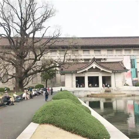 博物館でお花見を！「東京国立博物館」は花見の穴場です 57歳、フリーターしてます。