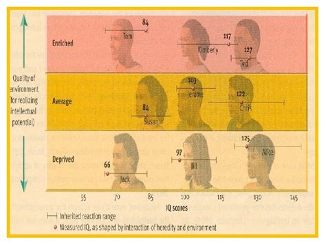 intelligence chapter     intelligence intelligence
