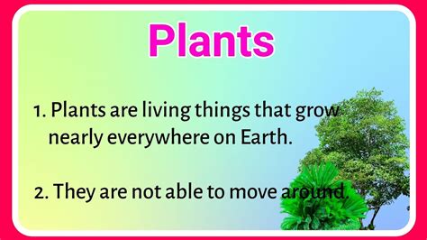 10 Lines On Plants In English About Plants Essay On Plant Ashwin S