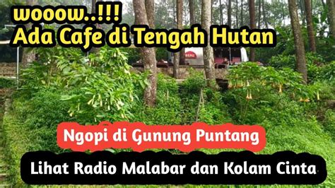 Viral Berg Cafe Di Tengah Hutan Gunung Puntang Bandung Radio Malabar