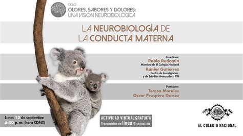 La neurobiología de la conducta materna Ciclo Olores sabores y