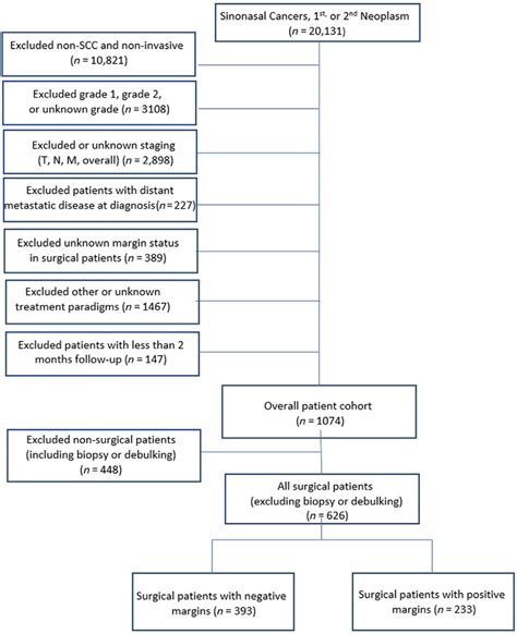 Flow Chart Of Patient Inclusion And Exclusion Criteria Scc Squamous