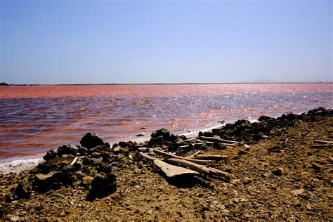 Como Ir A Galerazamba Y Ver El Mar Rosado En Colombia Cartagena Explorer