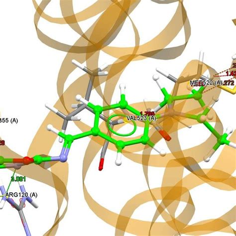 H Bond And Short Contact Interaction Profile For Compound P Binding