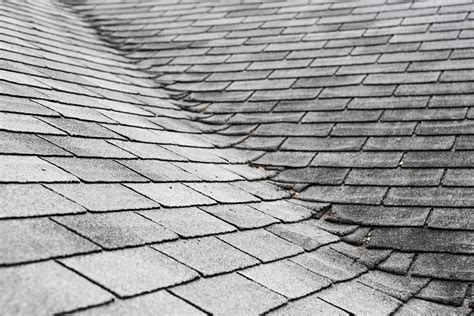 How Algae Mold Moss And Mildew Can Damage Your Roof Maxx Roofing