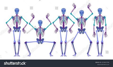 Dancing Skeletons Halloween Human Skeleton Stands Stock Illustration