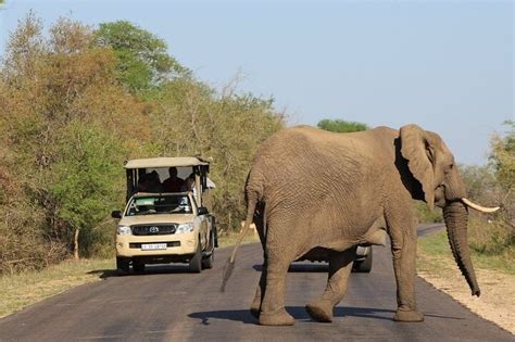 Safari de 2 dias no Kruger Park e excursão panorâmica pela rota saindo