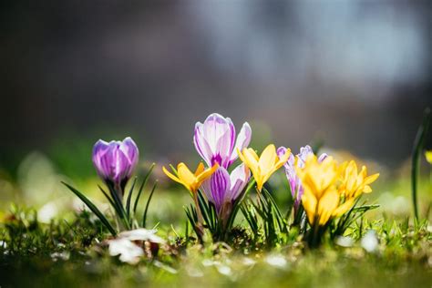 Tipps um Heizkosten im Frühling zu senken Team Gruner