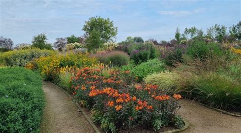 Jardins Naturalistes Les Meilleures Plantes Vivaces Cgconcept Fr