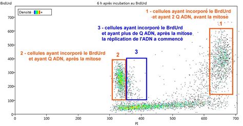 Suivi de l évolution de la quantité d ADN Site des ressources d ACCES