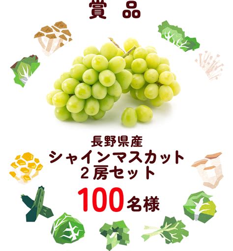 長野県産シャインマスカット のりのお散歩