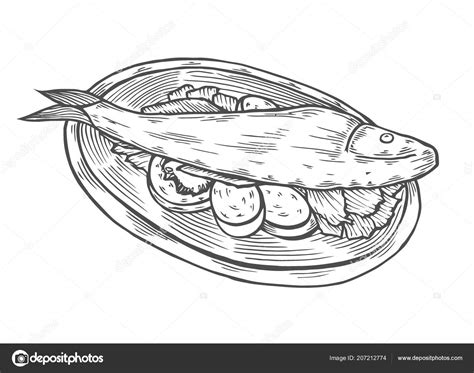 Isolated Detail Vintage Hand Drawing Food Sketch Illustration Carp Fish