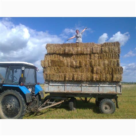Продам сухую ржаную солому в тюках — APKUA