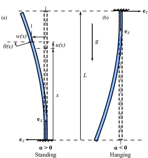 Cantilever Beam Orientations With Rectangular Cross Section A