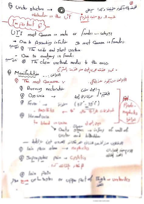 Solution Summary Of Urinary Tract Infection Uti Studypool