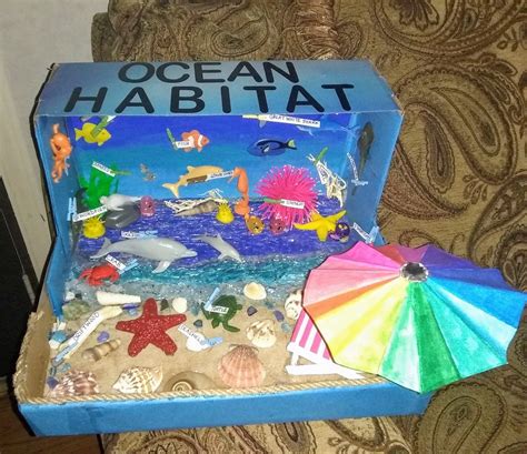 Shoebox Ocean Diorama Ocean Diorama Shoe Box Science Projects