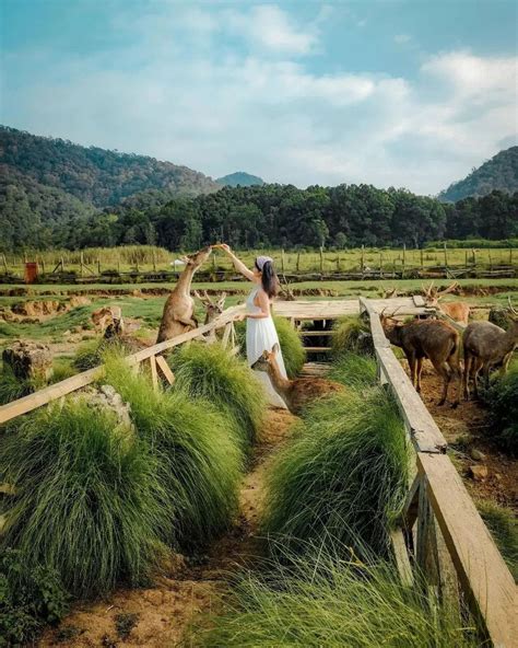 Tempat Wisata Alam Di Bandung Buat Healing Anti Pusing Nibble