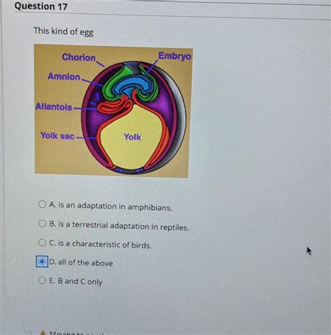 Solved Question 17 This kind of egg Chorion Embryo Amnion | Chegg.com