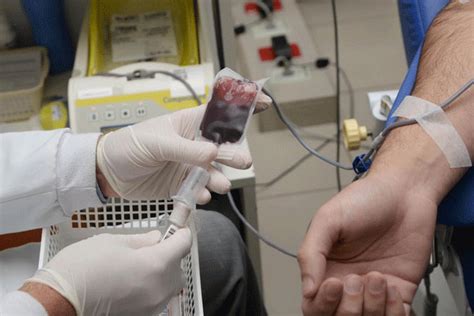 Sp Alerta Para Baixo Estoque De Sangue Nos Hemocentros Do Estado