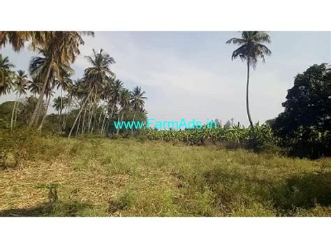 Acres Coconut Farm With Plain Land Sale Near Ooty Road Mysore