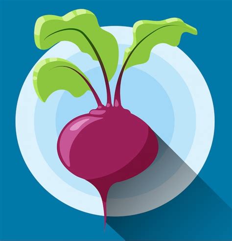 Premium Vector Beetroot Icon Vector Icon In Modern Flat Design