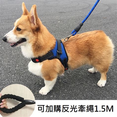 【dc寵物有發票】🐾小中大型犬寵物胸背帶 馬鞍型寵物胸背帶 防暴衝 寵物背帶 牽引繩 寵物胸背 狗背帶 A019 蝦皮購物