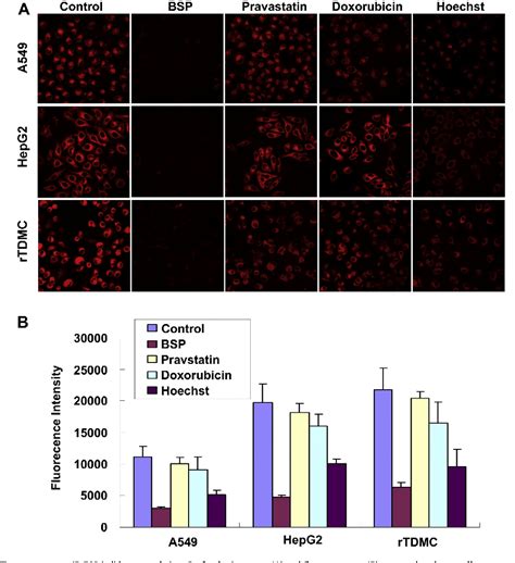 Figure From Mechanistic Study Of Ir Dye As A Potential Tumor