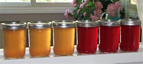 Muscadine Grape Juice Recipe for Homemade Delight