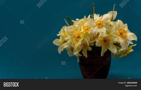 Bouquet Daffodils Image & Photo (Free Trial) | Bigstock