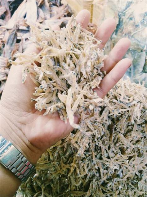 Kilo G Special Bawodnon Small Dilis Dried Fish Bulad Buwad Tuyo