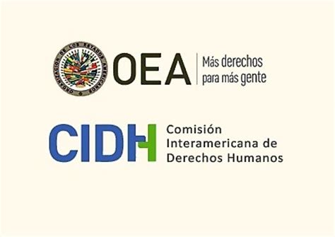 Preocupación Por La Interferencia De La Oea En La Cidh