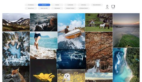 Best Gallery Plugins For Wordpress In Ask The Egghead Inc