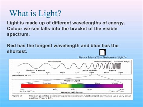 Science8 Semester 1 Chapter 8 Light