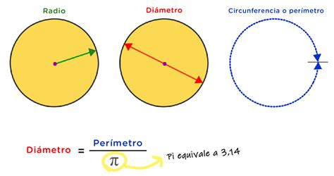 Cual Es El Diametro De Un Circulo Hot Sex Picture