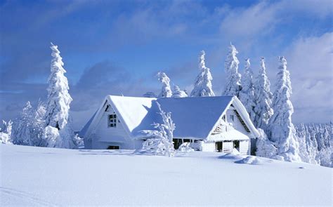 今天哪里下雪了 2019今天那里下雪了 2019最近哪里下雪