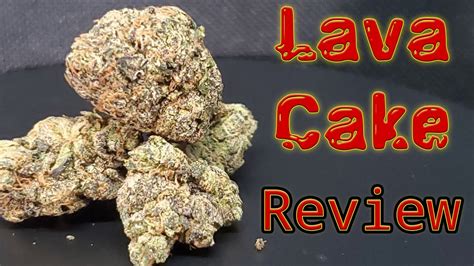 Lava Cake Strain Review Youtube