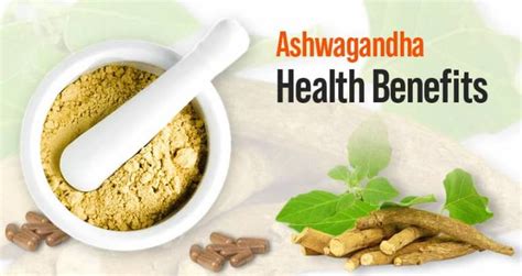 Ashwagandha Benefits Dynamic Health Advantages Of Ashwagandha